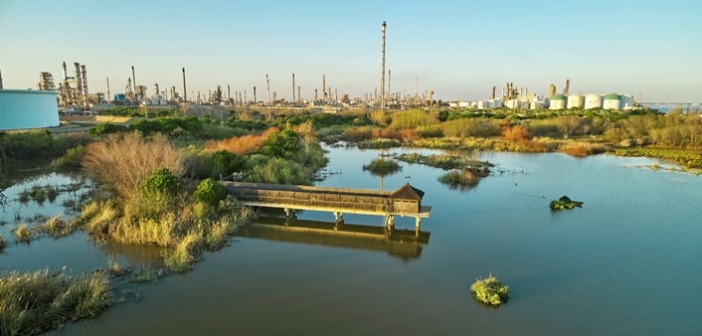Cepsa inicia la producción de biocombustibles avanzados en Huelva