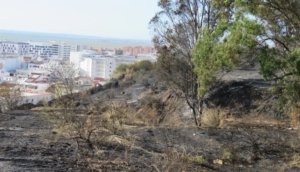 Opinión: Verano negro de incendios en Huelva