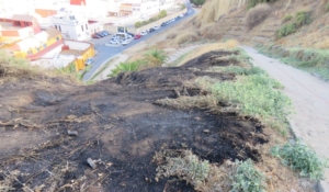 Opinión: Verano negro de incendios en Huelva