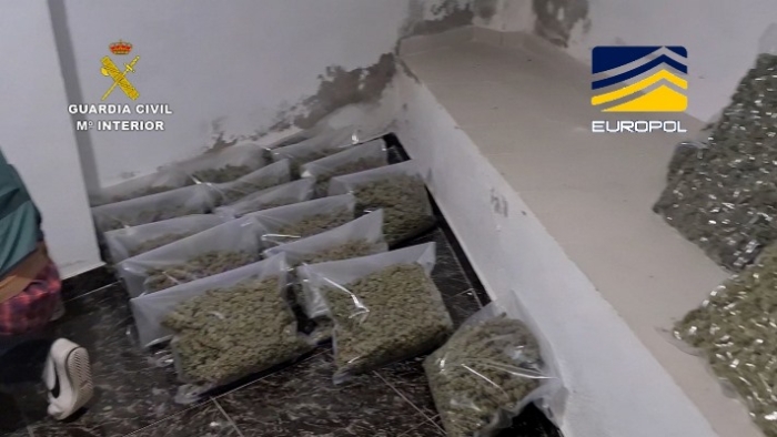 Cae una red internacional de tráfico de marihuana que operaba en Huelva
