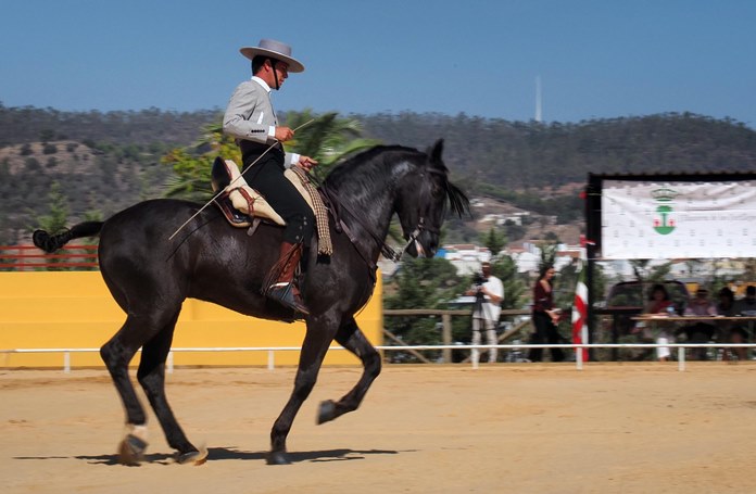 Los amantes del caballo disfrutan de una exhibición ecuestre en Villanueva de los Castillejos