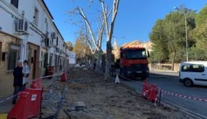 Los árboles retirados de la avenida Santa Marta servirán para reforestar el Parque del Torrejón