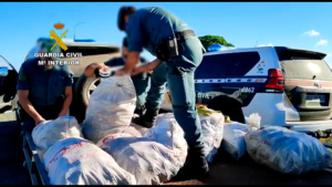 38 investigados por el hurto de 7.500 kilos de piñas en Almonte