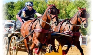 Los amantes de los caballos tienen una cita en Manzanilla este fin de semana