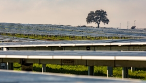 Luz verde a la construcción de ocho plantas fotovoltaicas en Huelva capital