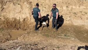 La Guardia Civil rescata a un perro atrapado en el canal de un arroyo en Cartaya
