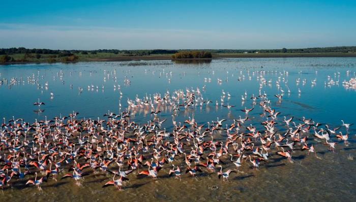 Unidas Podemos propone dotar a Doñana de personalidad jurídica para aumentar su protección manifestación agua