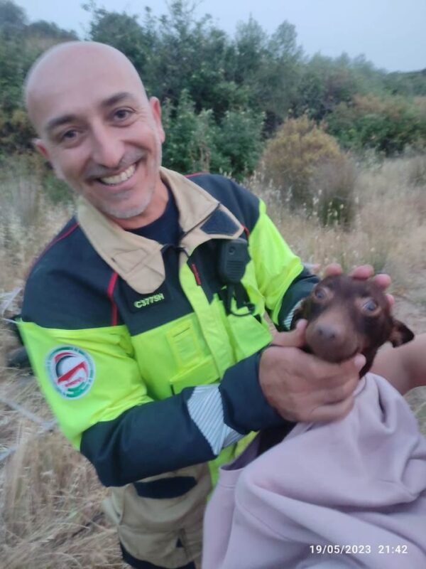 Bomberos rescatan a un perro que se había caído a un pozo en Villablanca