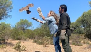 Suelta de dos cárabos en Marismas del Odiel por el Día del Medio Ambiente