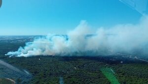 Incendio Cartaya