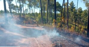 El Infoca lucha contra un incendio forestal declarado en Almonaster