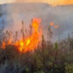 Fotogalería: Susto en Costa Eusuri por un incendio que ha arrasado una vivienda