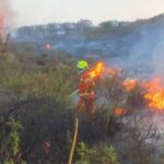 Fotogalería: Susto en Costa Eusuri por un incendio que ha arrasado una vivienda