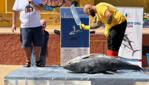 El ronqueo del atún abre el XXI Encuentro de Capitanes de Almadraba de Isla Cristina