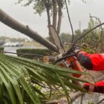 La borrasca causa daños en el Muelle de las Carabelas, que permanecerá cerrado los próximos días