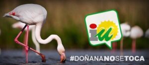 IU celebra la "marcha atrás a la amnistía de los regadíos de Doñana" de Moreno Bonilla