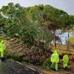 La borrasca causa daños en el Muelle de las Carabelas, que permanecerá cerrado los próximos días