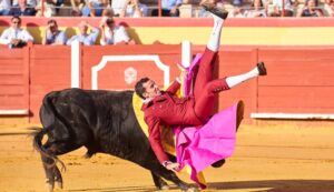 David de Miranda, lesionado tras la Pinzoniana de Palos de la Frontera