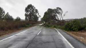 Bomberos y operarios de Carreteras de la Diputación asisten más de 30 incidencias por el temporal