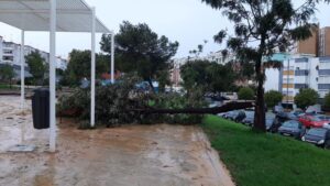 Árboles caídos, calles anegadas... El temporal deja unas 60 incidencias en Huelva capital