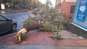 La borrasca Bernard siembra el caos en Huelva