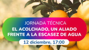 Una jornada formativa sobre técnicas de acolchado en cultivos leñosos aborda cómo ahorrar agua