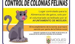 Moguer diseña un protocolo para controlar las colonias de gatos callejeros