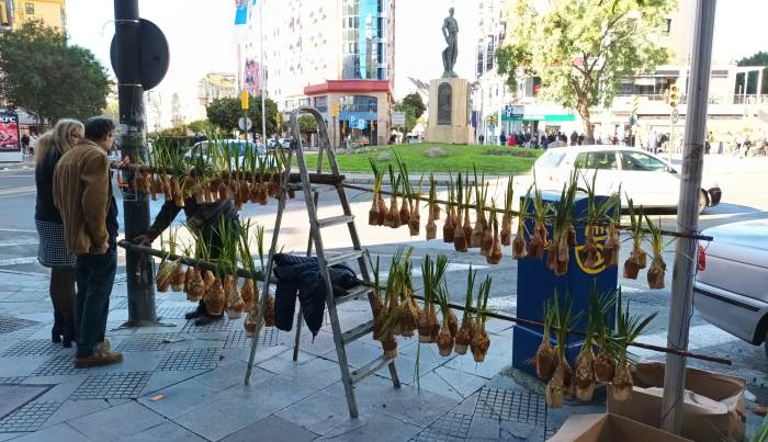 Fiestas de San Sebastián 2024: Huelva arropa a su patrón en su día grande