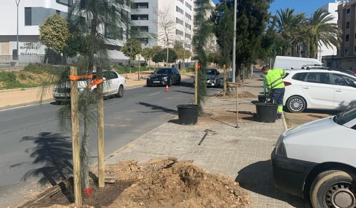 Huelva prevé terminar la temporada de plantaciones con 600 nuevos árboles y 3.000 arbustos