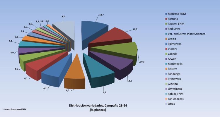 Marisma, Fortuna y Rociera son las variedades de fresa más cultivadas en Huelva