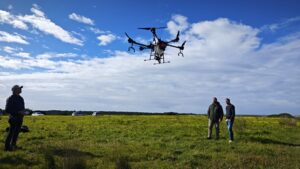 Cartaya estudia el uso de drones para luchar contra la procesionaria