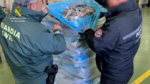 Intervienen más de diez toneladas de chocos congelados en una nave de Huelva