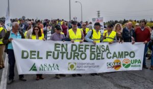Unos 50 tractores y más de 300 personas protestan en Huelva por la "pervivencia" del medio rural