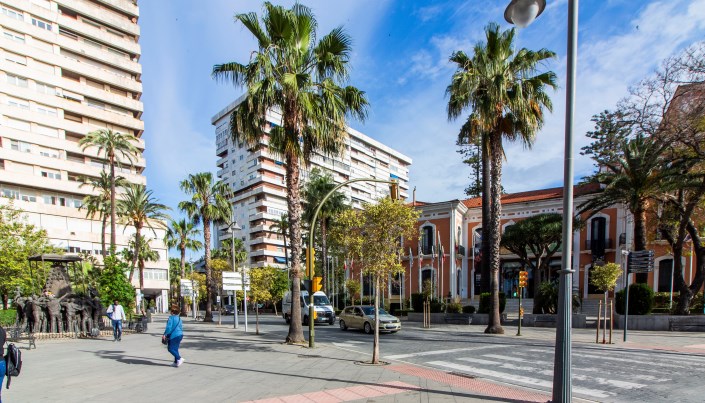 Huelva reanuda los tratamientos para combatir el picudo rojo en las palmeras