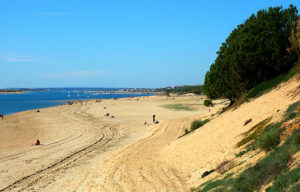 Disfruta del sol y la playa en Huelva: descubre los mejores apartamentos para tu verano.