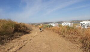 Huelva adelanta el desbroce de las Laderas del Conquero y el Parque Moret para prevenir incendios