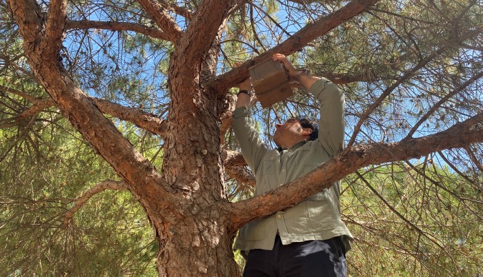 Huelva recibe 20 cajas nido de la Junta para su instalación en árboles de la capital