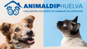 Perros y gatos buscan un hogar en el I Encuentro de animales en adopción de Diputación