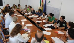 La comisión contra la violencia de género reforzará sus actuaciones en Huelva este verano