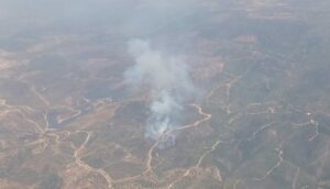 Declarado un incendio forestal en Valverde