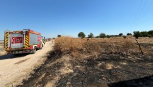 Incendio de pastos en rociana