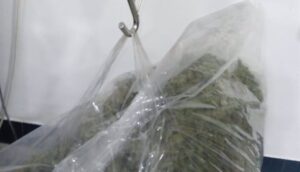 Pillado en Bollullos con 8,6 kilos de marihuana en el maletero del coche