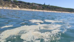 Carta al director: Vierte las aguas residuales de su barco en la playa de Ciparsa