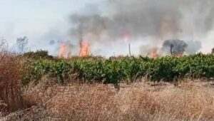 Detenido el presunto autor de varios incendios en Bollullos