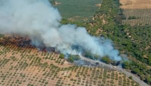 Declarado un incendio en el paraje Arroyo Zumajo de Almonte