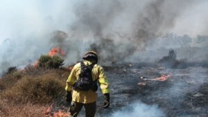 Declarados sendos incendios forestales en Bonares y Lucena del Puerto