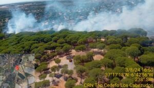 Bomberos trabajan en la extinción de un incendio forestal en Lucena del Puerto