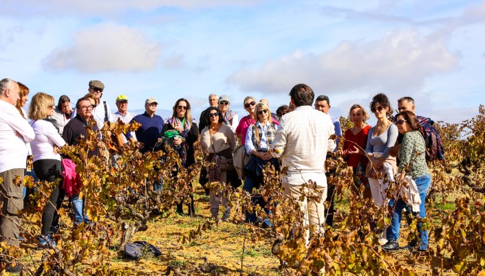 Tres vinos de la bodega palmerina Masagé, considerados excelentes por la guía Peñín 2024