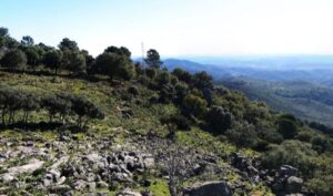 Dos jóvenes heridos tras caer por un barranco en Almonaster la Real