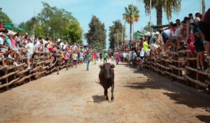 Trigueros disfruta ya de sus Fiestas Taurinas Tradicionales